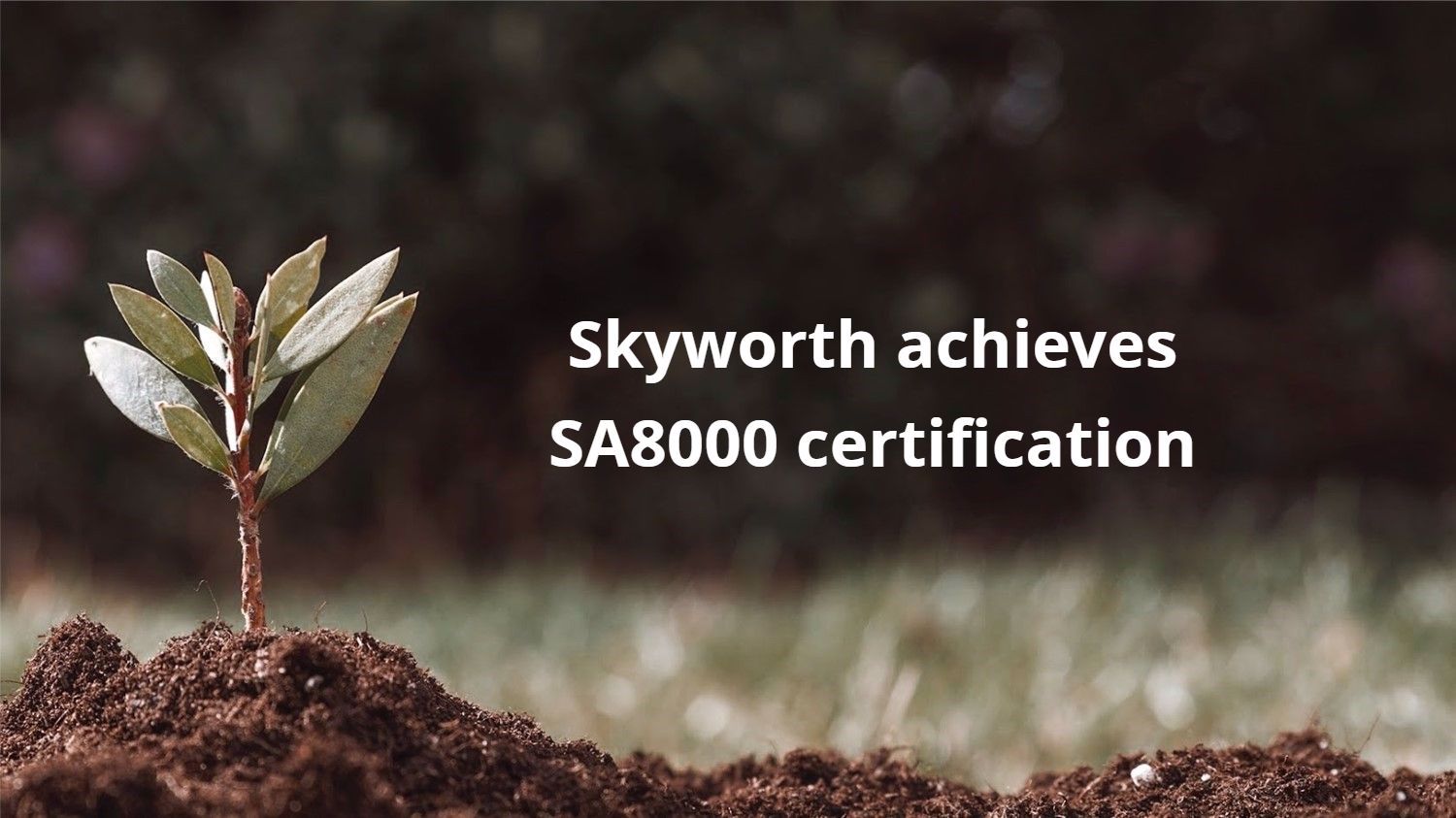 Skyworth achieves SA8000 certification